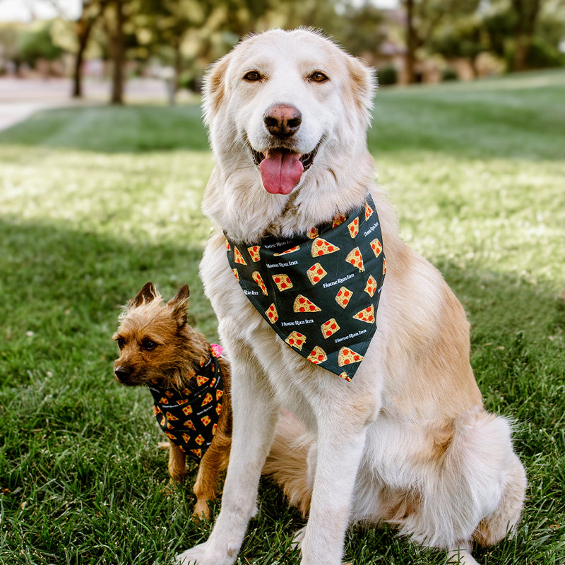 Pizza Pup Bandana