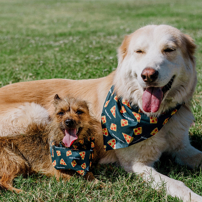 Pizza Pup Bandana
