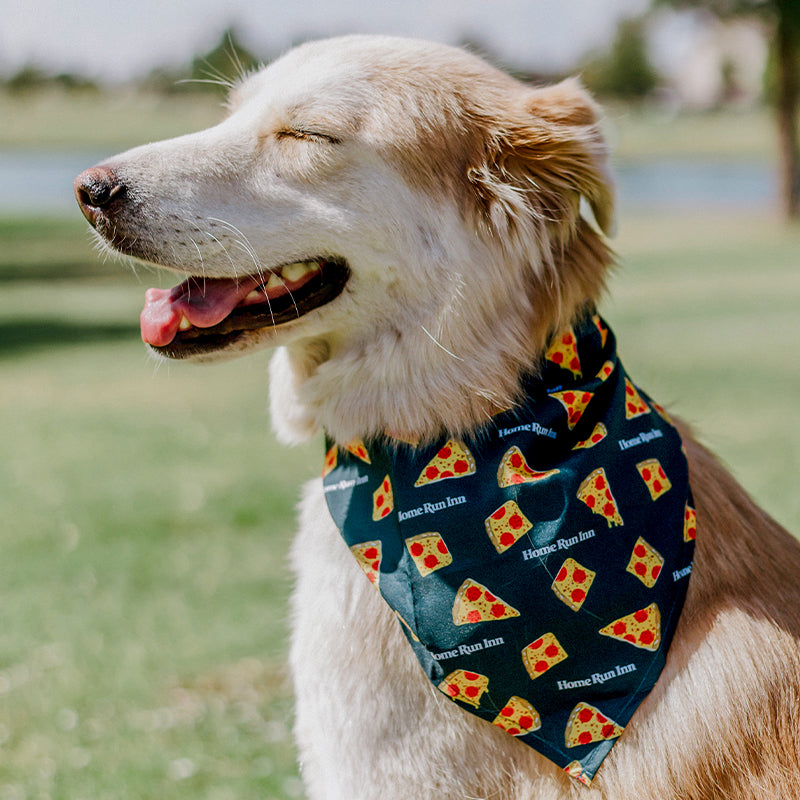 Pizza Pup Bandana