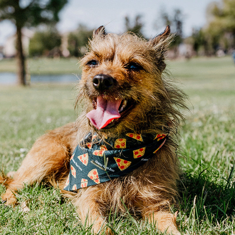 Pizza Pup Bandana