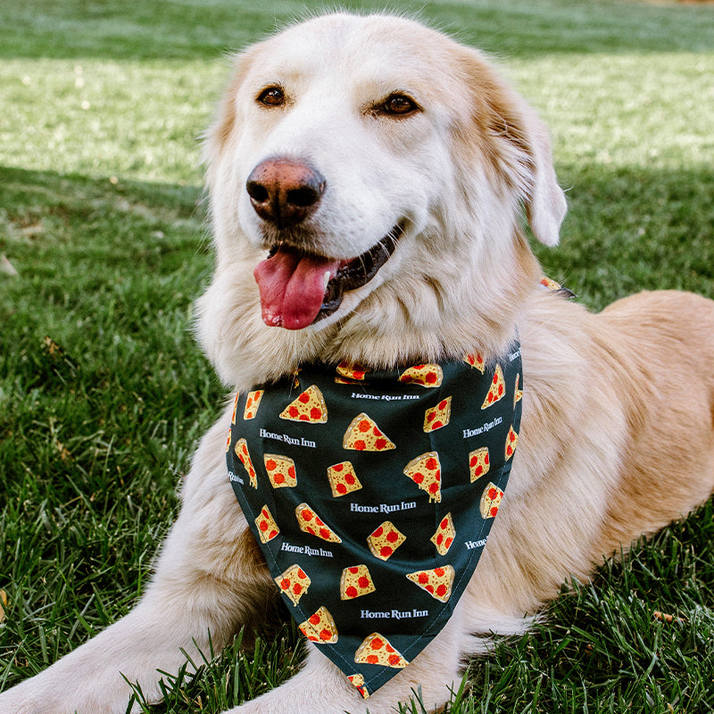 Pizza Pup Bandana