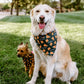Pizza Pup Bandana